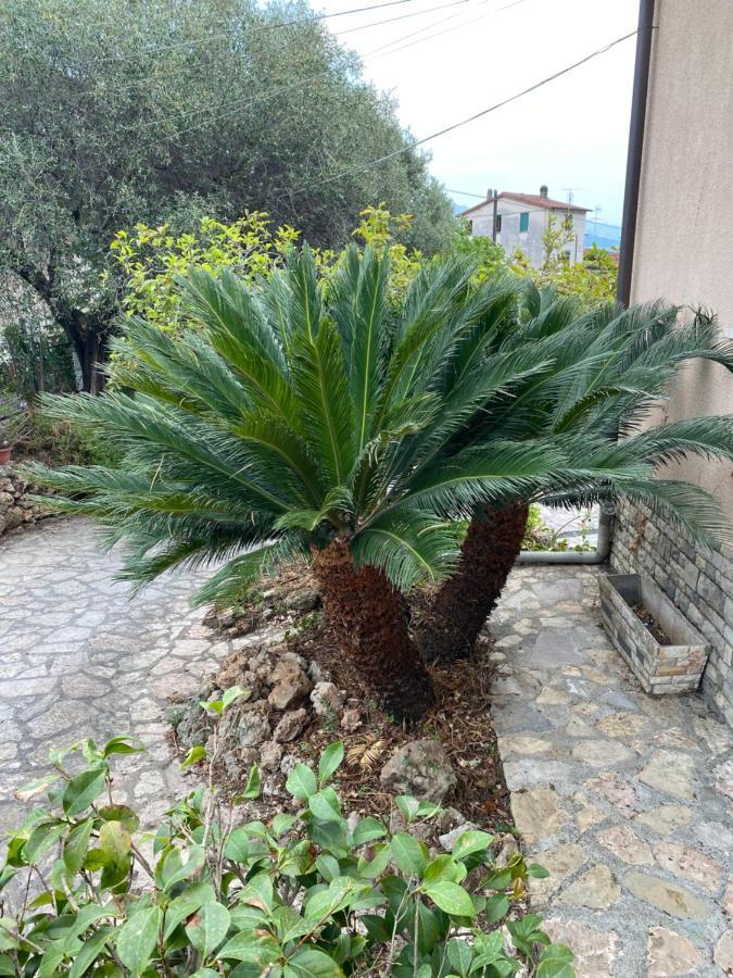 Romito Magra Il Giardino Delle Cycas 아파트 외부 사진